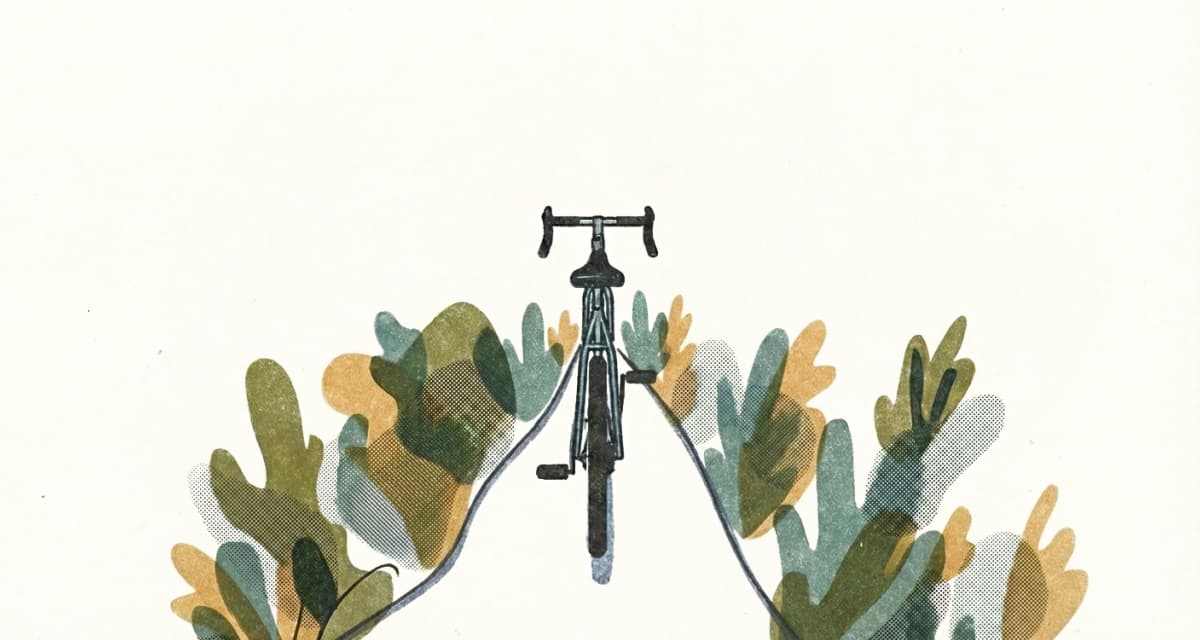 Reflections on my stolen bike